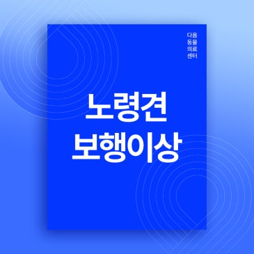 청주 외과 동물병원 노령견의 보행이상 원인과 치료방법