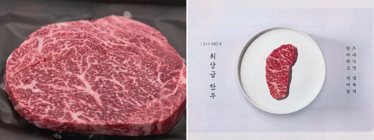 단청 한우 선물세트, 부모님 첫인사 선물 고르는 내 선택