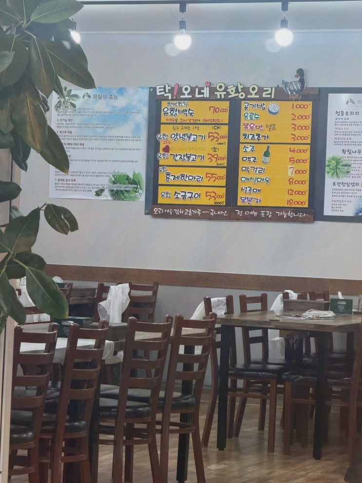 거제여행추천맛집 : 탁오네, 사장님 직접 구이로 굽는 부담 없이 즐기는 거제 생오리불고기