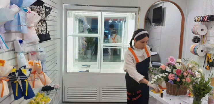 중고쇼케이스 : 쇼케이스 업계 1위 한성, 디자인·A/S·저소음까지 한 번에