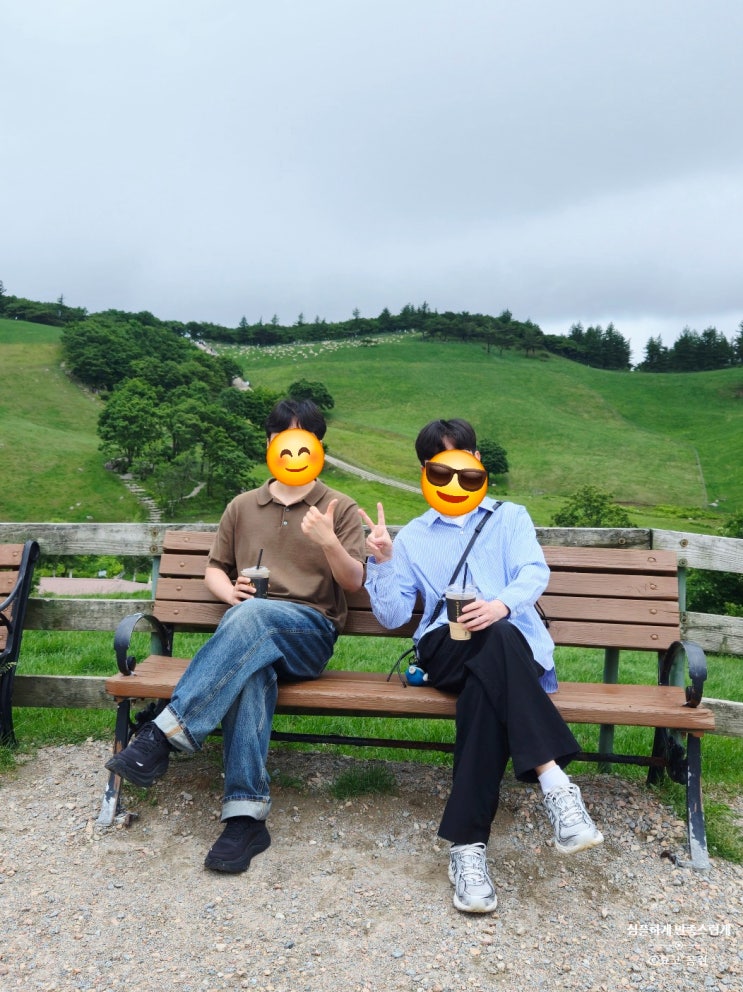 속초 여행 2박 3일, 양떼목장, 아바이순대 마을, 속초 중앙시장