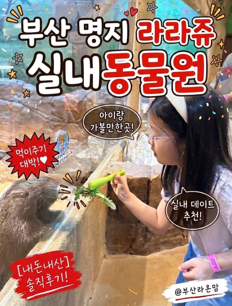 부산 명지 라라쥬 실내동물원 주말 아이랑 가볼만한곳 TOP 1 (내돈내....
