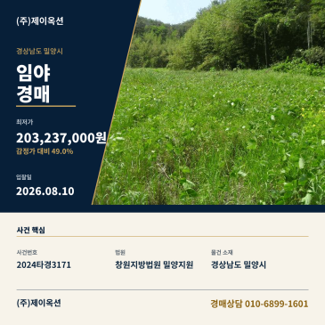 밀양임야경매ㅣ경상남도 밀양시 청도면 구기리 산85ㅣ2024타경3171 썸네일