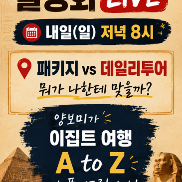 오랜만에 인스타 라이브해요｜이집트 여행 설명회, 패키지·데일리투어 무엇이 좋을까?