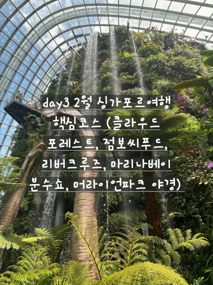 day3 2월 싱가포르여행 핵심코스 (클라우드 포레스트, 점보씨푸드, 리....