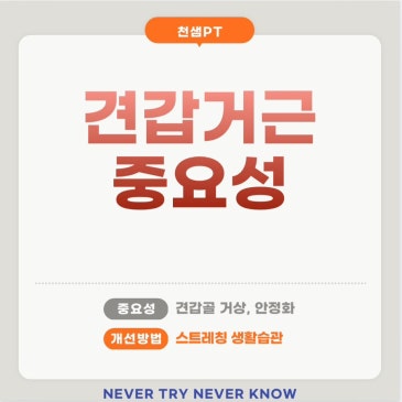 견갑거근의 중요성 네이버 블로그 대표 이미지