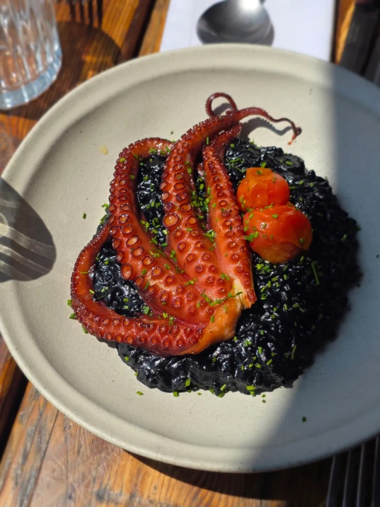 포르투 히베이라 광장 맛집 추천 Terra Nova