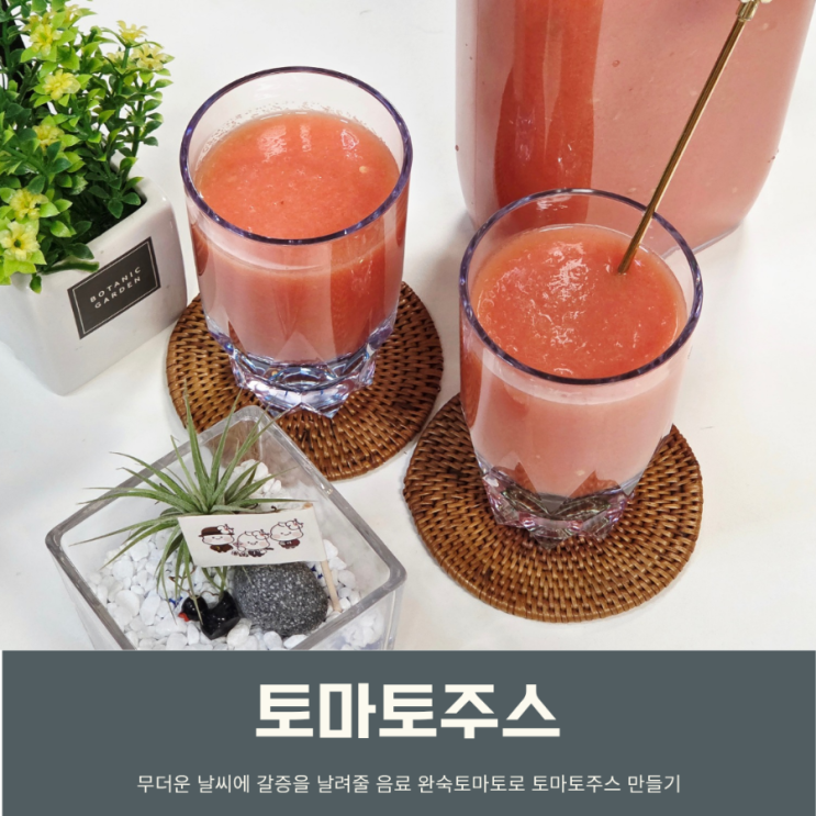 토마토주스 만드는 방법 토마토쥬스 효능 올리브유 요구르트로 간....