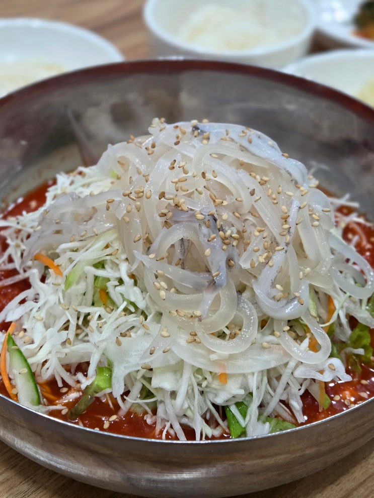 +강원도 고성 여행+ Day1-6 오징어회 잔뜩 선영이네물회전문점(내돈내....