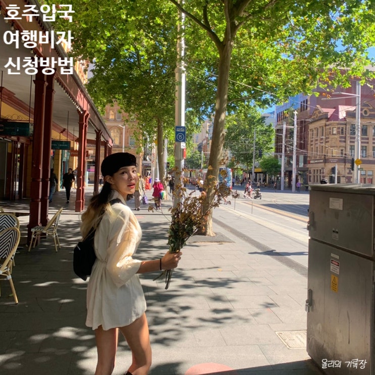 호주 여행비자 신청방법 ETA 어플 캡쳐 따라하기 3분컷 후기