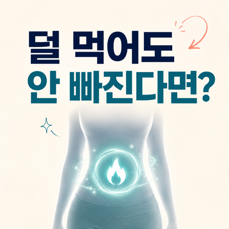 기초대사량 높이는방법, 기초대사량 낮으면 왜 살이 잘 안 빠질까