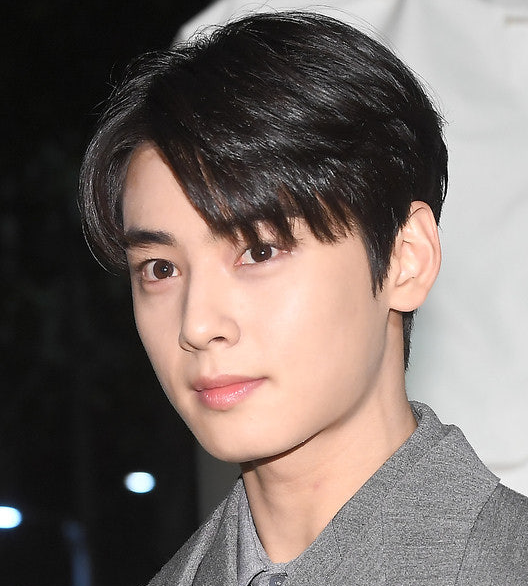 차은우 130억 세금 완납 후 조세심판 청구, "과세 부당하다"