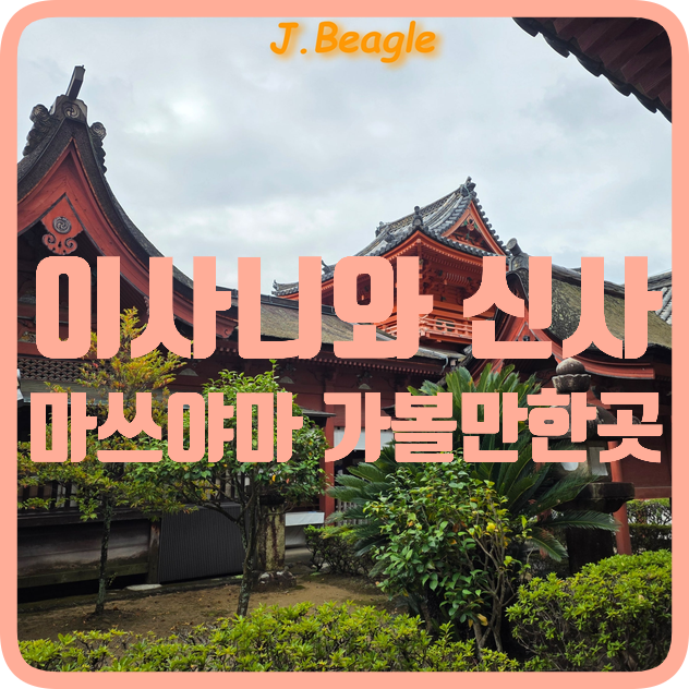 이사니와 신사 마쓰야마 여행 가볼만한곳 :: 사진명소 위치 운영시....