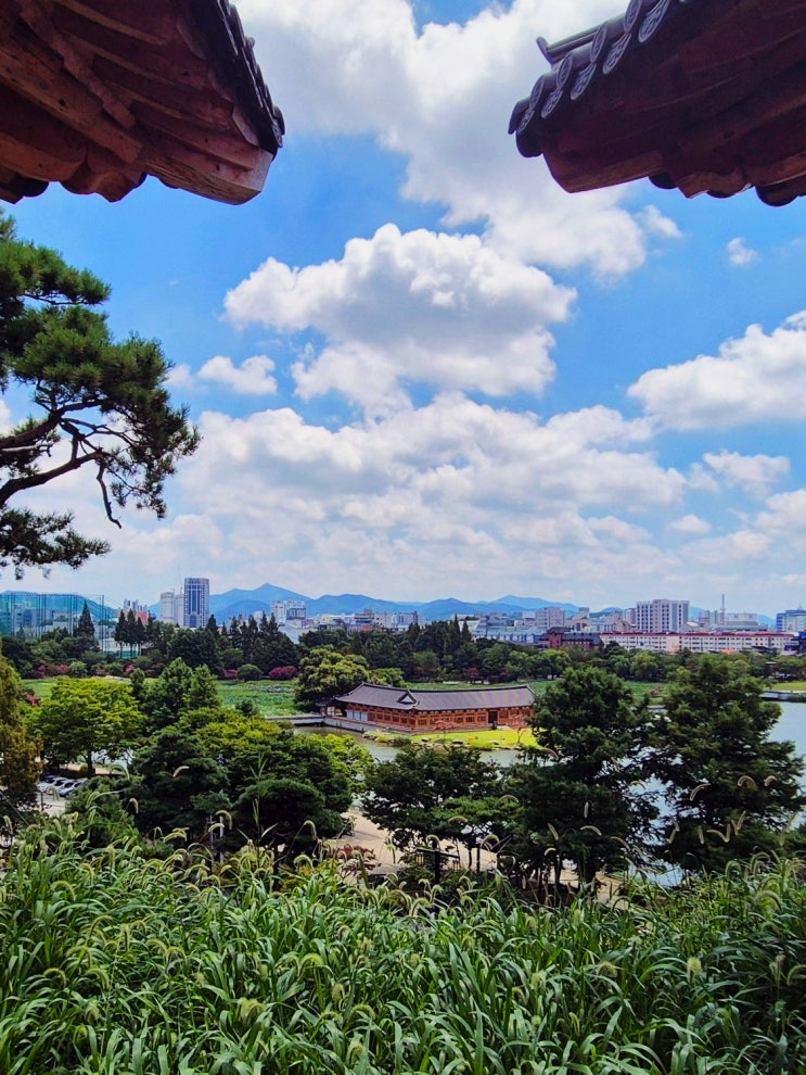 [전주 여행 2일차①] 덕진공원 연꽃구경과 호수 위 연화정 도서관한....