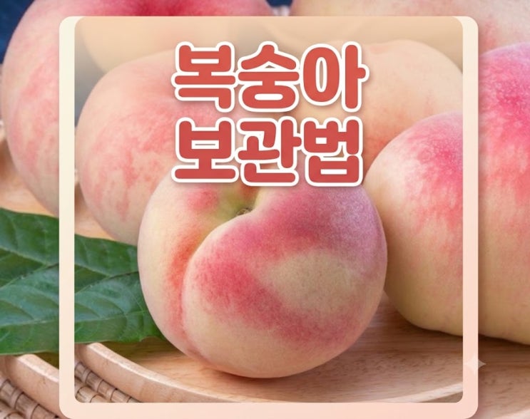 여름철 복숭아 보관법