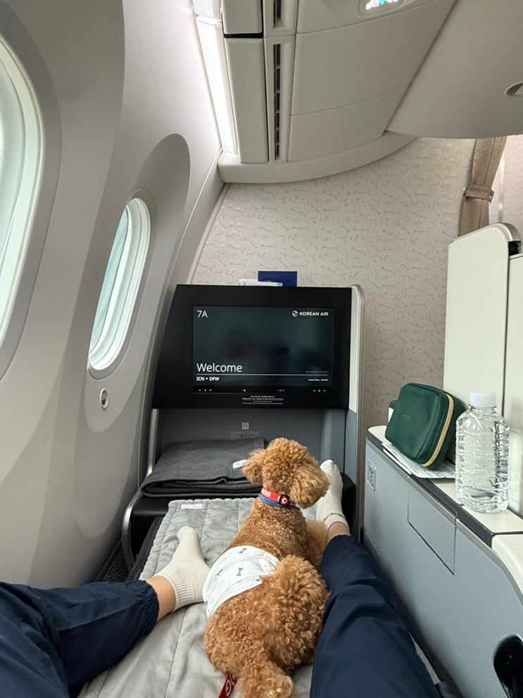 ICN->DFW 인천->댈러스 대한항공 프레스티지 : 네이버 블로그