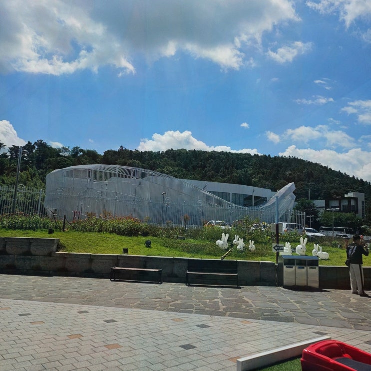 경주 여름 이색 놀거리 찾으시나요? 보문단지 액티비티 경주루지월드