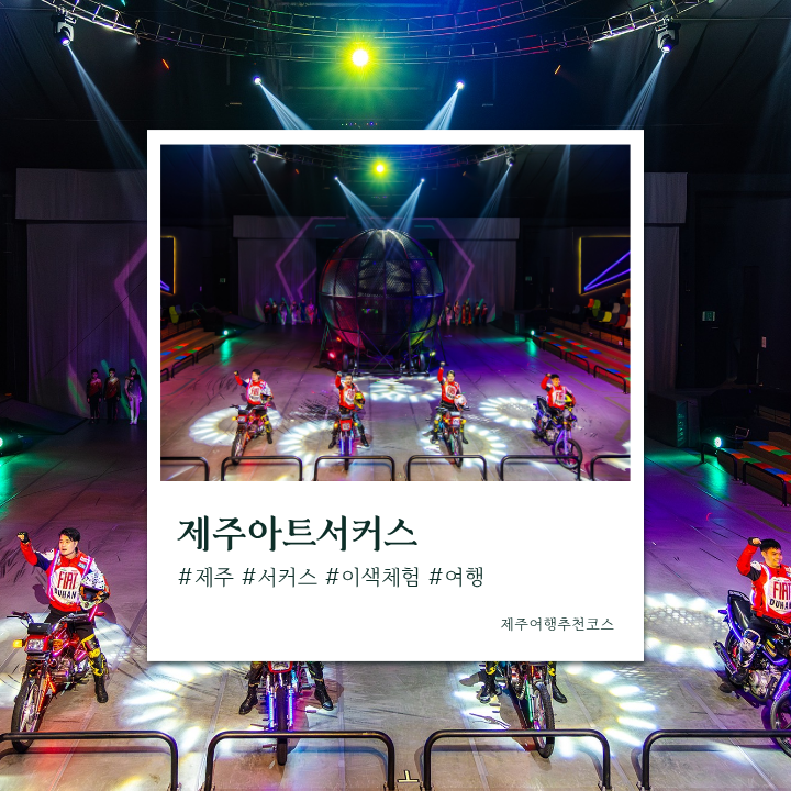 아이부터 어른까지 모두 만족하는 제주아트서커스 :: 제주아트서커....