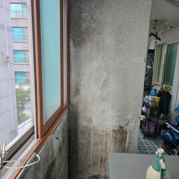 베란다 결로 곰팡이 제거 시공 사례