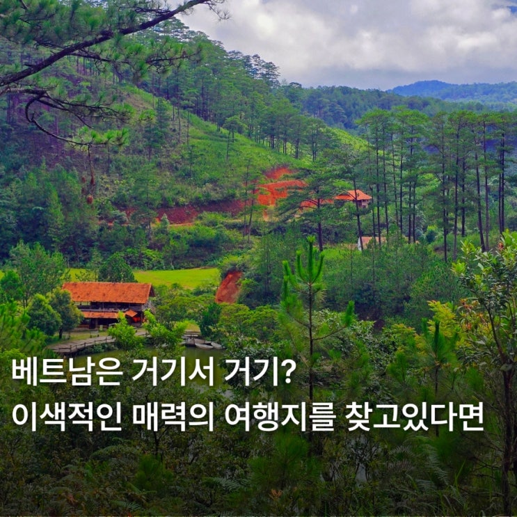 달랏 꾸란마을 아이와 가기 좋은 달랏 여행코스