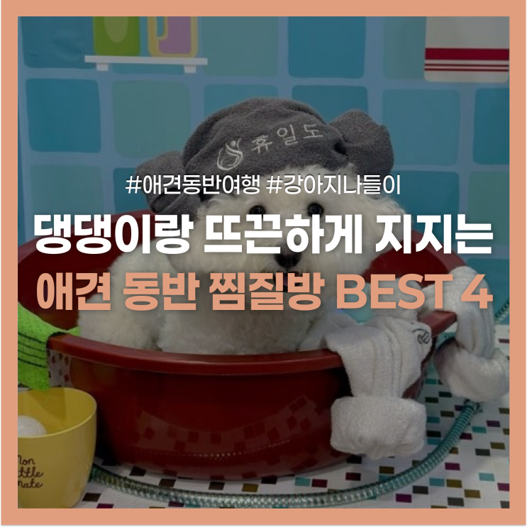 "프라이빗 룸에서 반려견과 단둘이" 애견동반 찜질방 추천 4곳