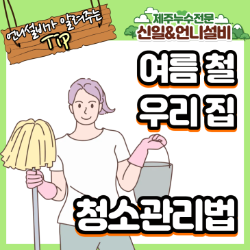 습기 높은 제주도 여름, 곰팡이 없이 쾌적하게 집 관리하는 실전 청소 꿀팁!!