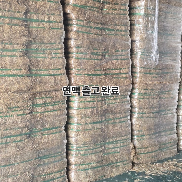 수입산 연맥 건초; 쌍용에프엔씨 썸네일