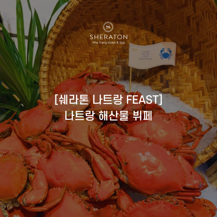 [쉐라톤 나트랑 FEAST] 나트랑 대표 씨푸드 뷔페