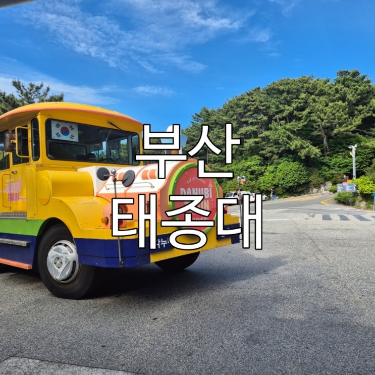 부산 태종대 유원지, 태교여행의 추억과 함께 아이와 다시 방문 (다....