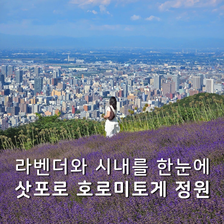 삿포로 가볼만한곳 라벤더 야경 명소 호로미토게 정원