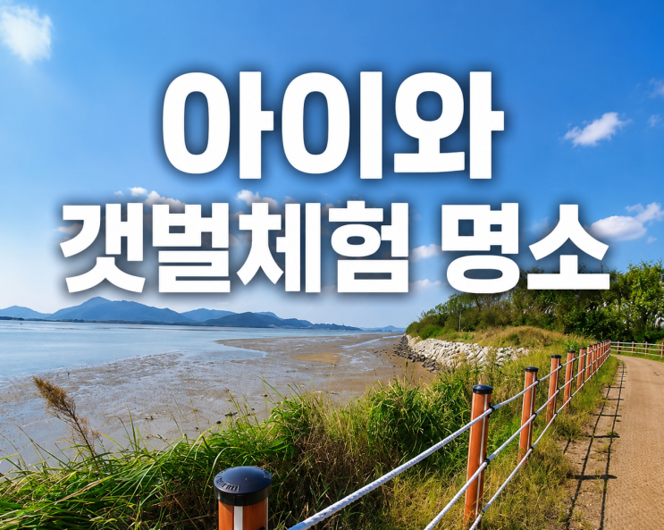 [육아．정보] 부산 아이와 갯벌체험｜신호공원 주차·물때·준비물 ....
