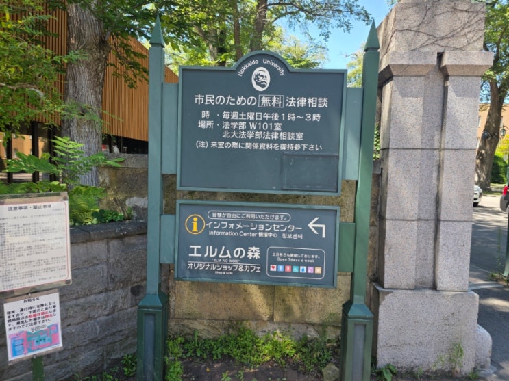 홋카이도대학 캠퍼스 투어 후기 150년 역사 클라크 동상·박물관·은....