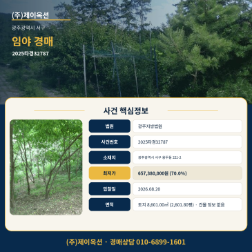 광주임야경매ㅣ광주광역시 서구 용두동 221-2ㅣ2025타경32787 썸네일