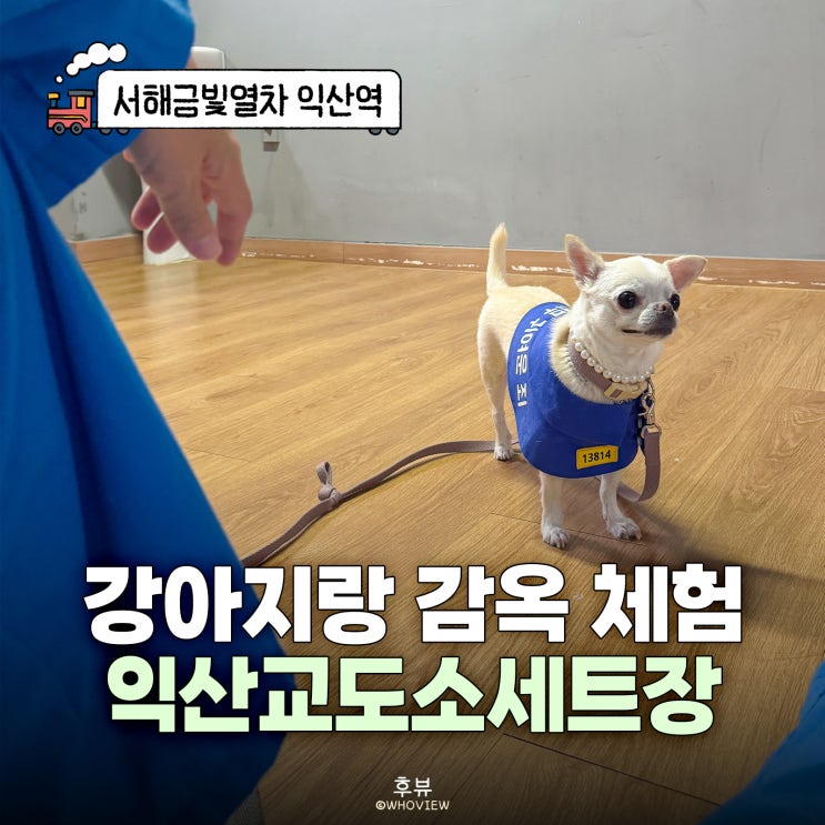 익산교도소세트장 가는법 강아지 죄수복 대여 시티투어 정보 총정....