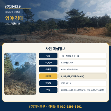 보령 임야 산 토지경매ㅣ충청남도 보령시 동대동 1-8ㅣ2021타경1318 썸네일