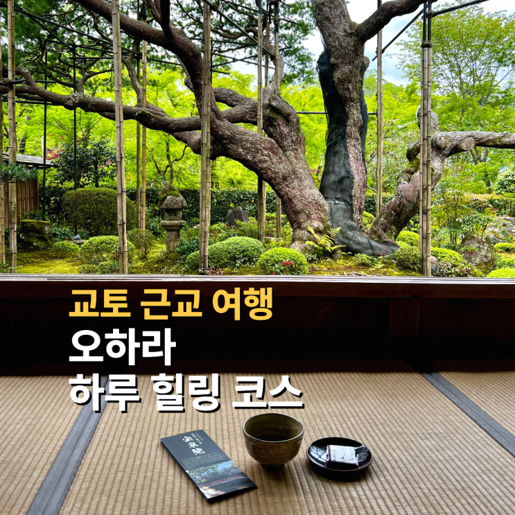 교토 근교 오하라 여행 코스 | 버스 가는법·산젠인·액자정원·맛집 ....