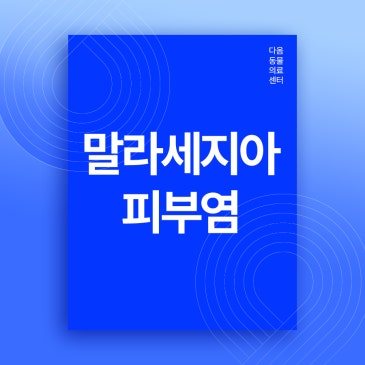 청주 사천동 동물병원 강아지 피부 긁는 원인, 말라세지아 피부염
