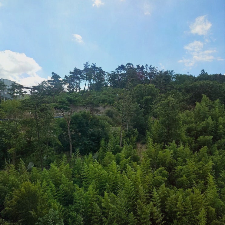 [경주루지월드] 경주 여름 가족여행 추천, 리프트+루지로 스트레스 날리기
