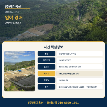 산청 임야 산 개발토지 경매ㅣ경상남도 산청군 신등면 양전리 산63ㅣ2024타경33053 썸네일
