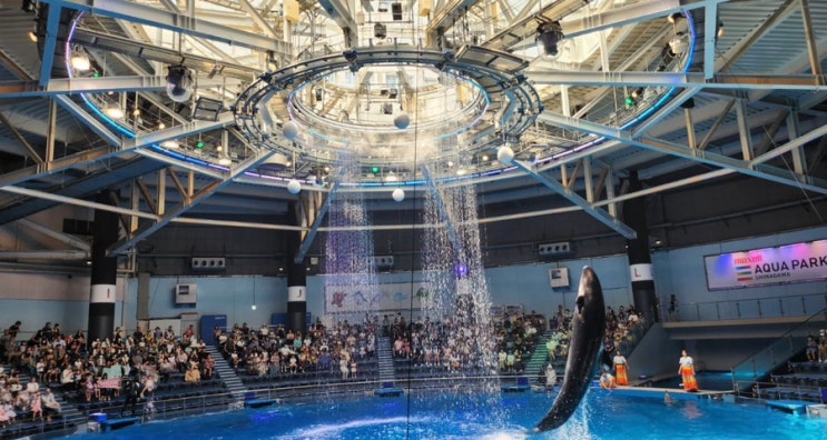 [도쿄 여행] 맥셀 아쿠아파크 시나가와(Maxell Aqua Park Shinagawa)｜도쿄 ....