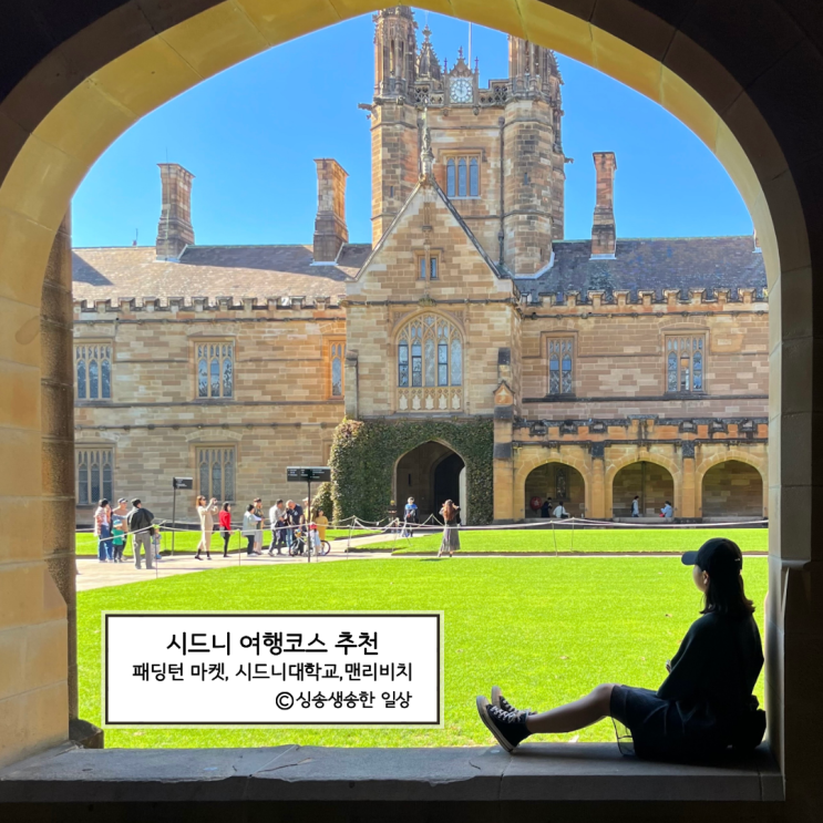 시드니 여행 코스 추천, 패딩턴마켓·시드니대학교·맨리비치