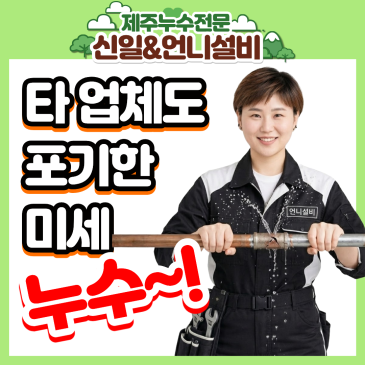 [제주도누수] 타 업체도 포기한 이도동 빌라 미세누수! 자격증을 갖춘 여성누수설비전문가의 확실한 해결기!