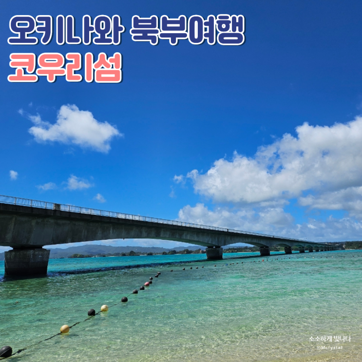 코우리섬 TOP3해변 코우리비치&대교 드라이브 데이트 명소 바다거북....