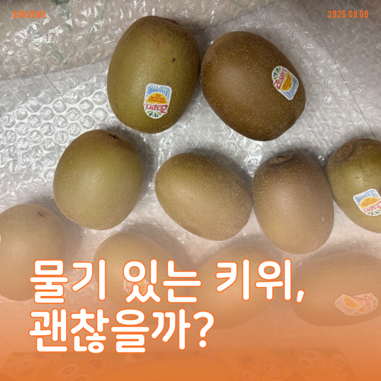 선물 받은 골드키위, 표면에 물기가 있어서 깜짝 놀랐어요!키위 오래 보관하는 법부터 가장 ....