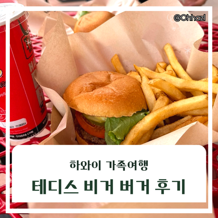 하와이 버거 | 테디스 비거 버거 후기(프랜차이즈 팁, 키즈 메뉴)