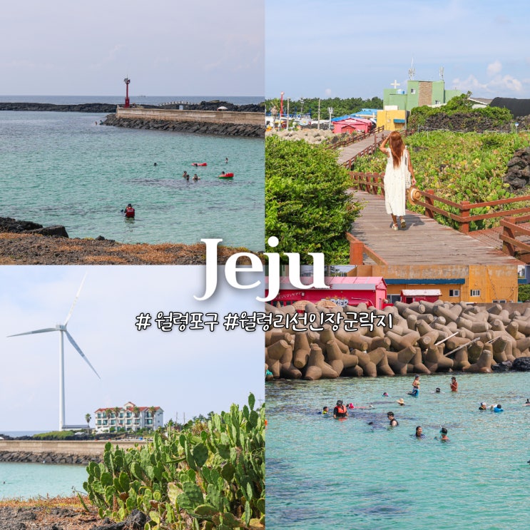 제주도 스노쿨링 명소 월령포구 제주 월령리선인장군락지