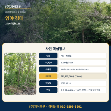 제주임야지분경매·산지ㅣ제주특별자치도 제주시 구좌읍 세화리 산45-2ㅣ2016타경3128 썸네일