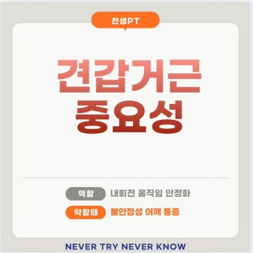 견갑하근 중요성 역할 네이버 블로그 대표 이미지