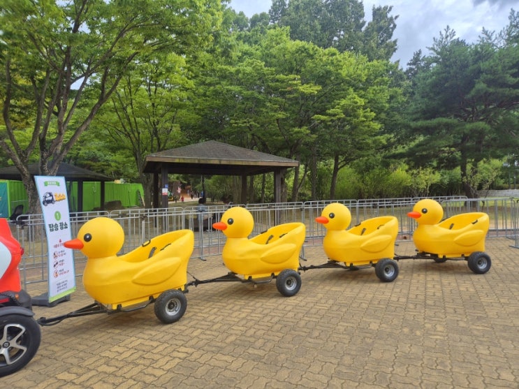 울산대공원 가든 나이트 마켓 아이랑 가기 좋은 울산 여름밤 야시장