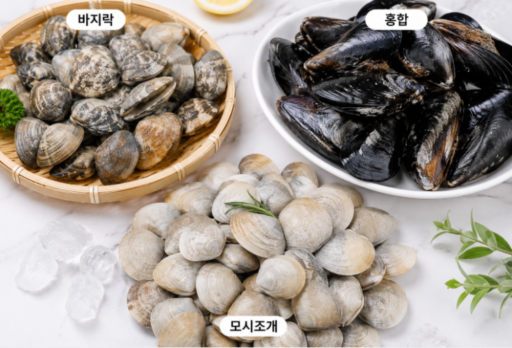 조개 해감방법 총정리｜바지락 모시조개 홍합 손질법과 영양성분 정보